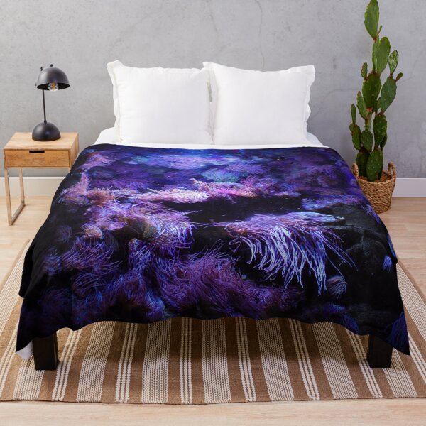 Item preview, Underwater life designed and sold by Belles-Photos.