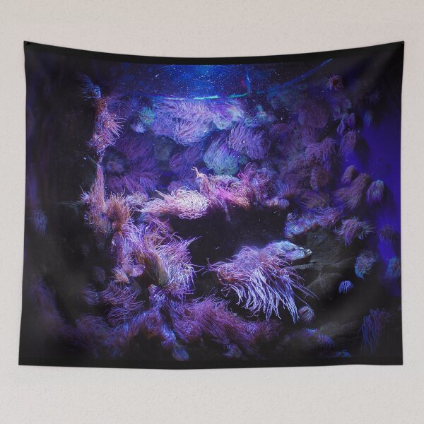 Item preview, Underwater life designed and sold by Belles-Photos.