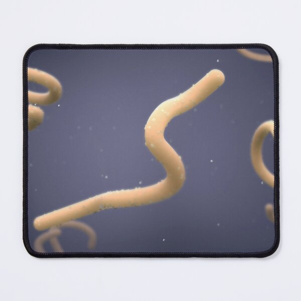 Item preview, STK701546H-Marburg virus. designed and sold by StocktrekImages.