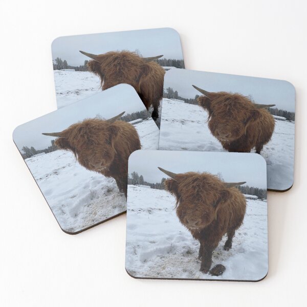 Item preview, Scottish Highland Cattle Bull 4668 designed and sold by SaarelaHighland.