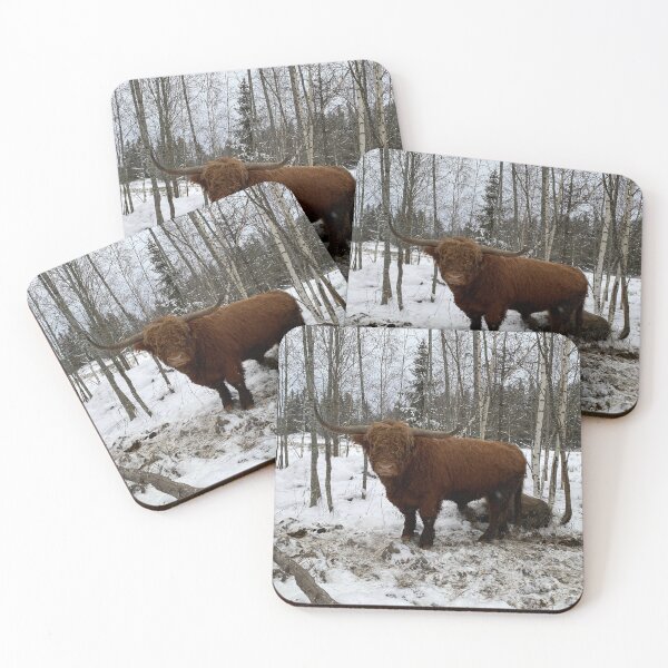 Item preview, Scottish Highland Cattle Bull 4669 designed and sold by SaarelaHighland.