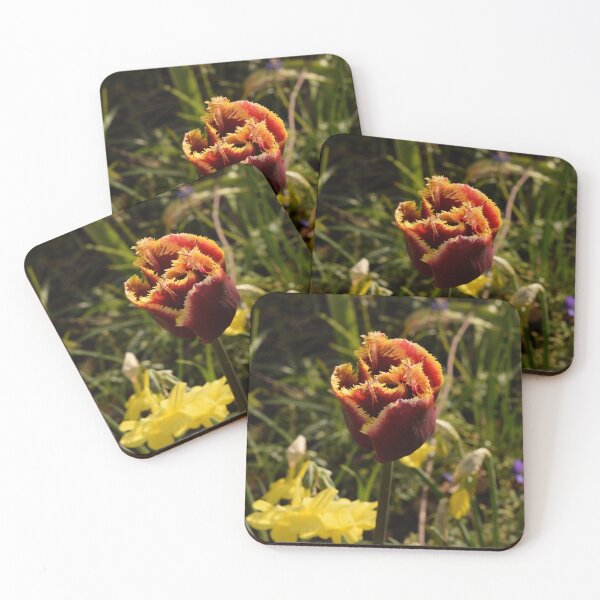 Item preview, Bearded tulip dark red and yellow designed and sold by thesuspire.