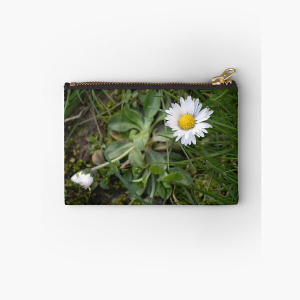 Item preview, Daisy designed and sold by Calidris Fotografie Steffi & Ben Köppler.