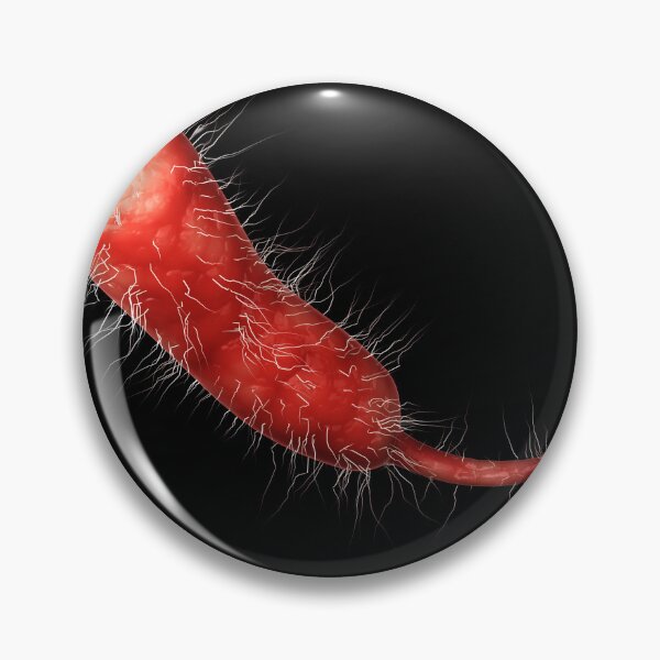 Item preview, STK701554H-A single Vibrio vulnificus bacteria. designed and sold by StocktrekImages.