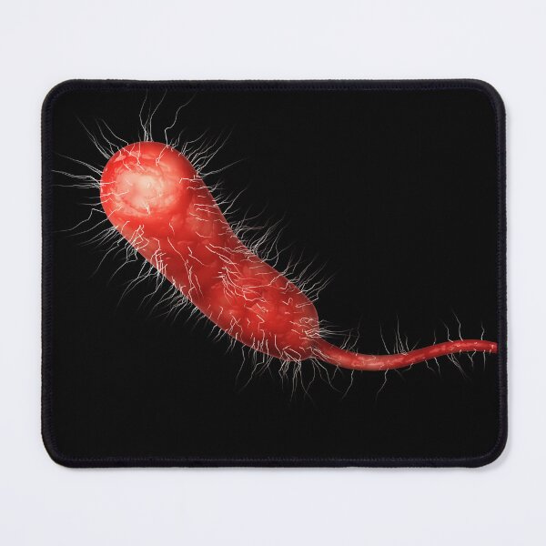 Item preview, STK701554H-A single Vibrio vulnificus bacteria. designed and sold by StocktrekImages.