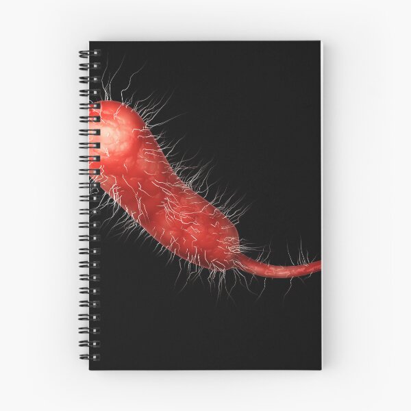 Aperçu de l'œuvre STK701554H-Une seule bactérie Vibrio vulnificus. créée et vendue par StocktrekImages.