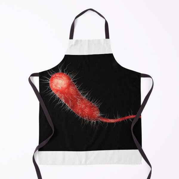 Item preview, STK701554H-A single Vibrio vulnificus bacteria. designed and sold by StocktrekImages.