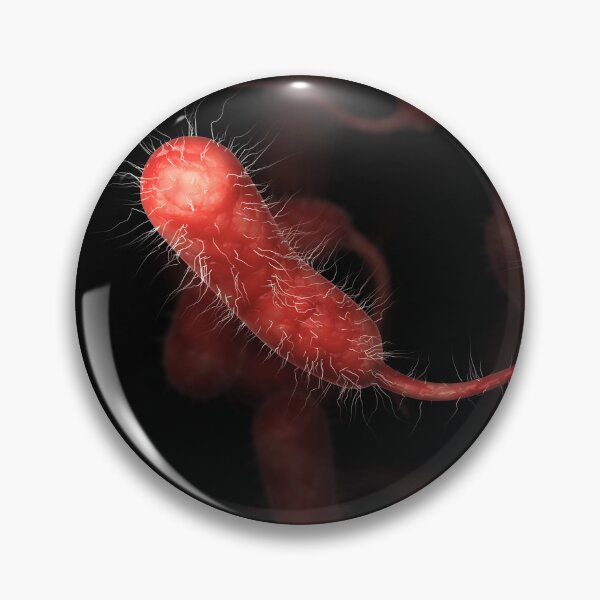 Item preview, STK701555H-Vibrio vulnificus bacteria designed and sold by StocktrekImages.