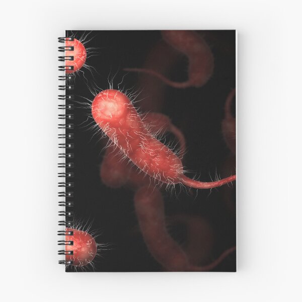 Item preview, STK701555H-Vibrio vulnificus bacteria designed and sold by StocktrekImages.