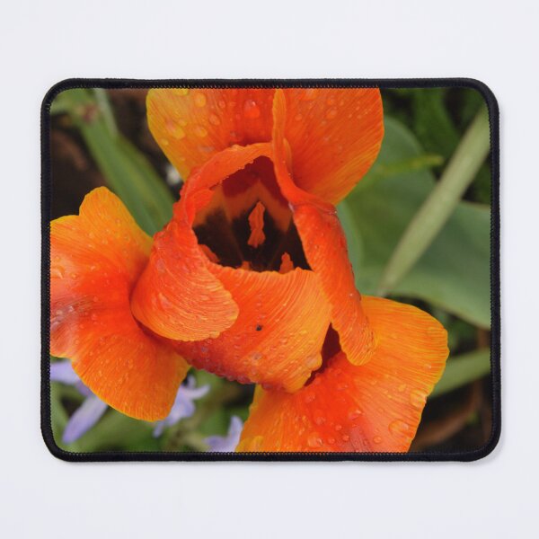 Item preview, Colorful textured orange flower  designed and sold by thesuspire.