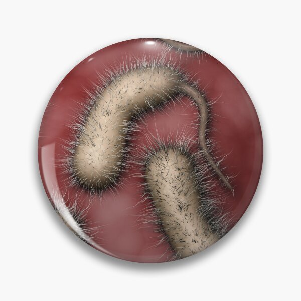 Item preview, STK701556H-Vibrio vulnificus bacteria designed and sold by StocktrekImages.