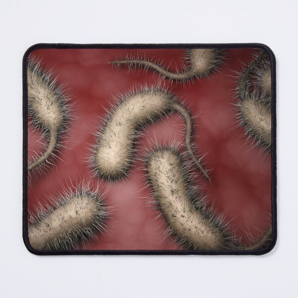 Item preview, STK701556H-Vibrio vulnificus bacteria designed and sold by StocktrekImages.