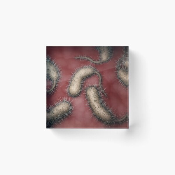 Item preview, STK701556H-Vibrio vulnificus bacteria designed and sold by StocktrekImages.
