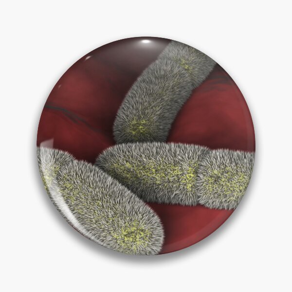Item preview, STK701558H-Yersinia pestison bacteria on surface. designed and sold by StocktrekImages.