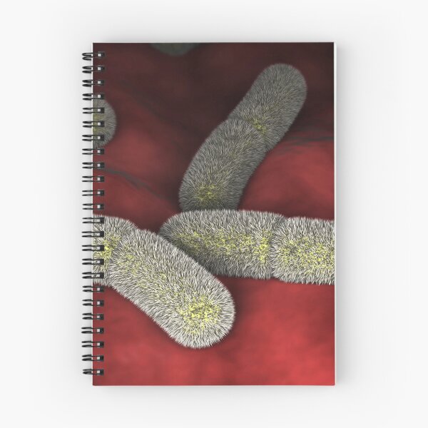 Item preview, STK701558H-Yersinia pestison bacteria on surface. designed and sold by StocktrekImages.
