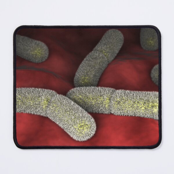 Item preview, STK701558H-Yersinia pestison bacteria on surface. designed and sold by StocktrekImages.