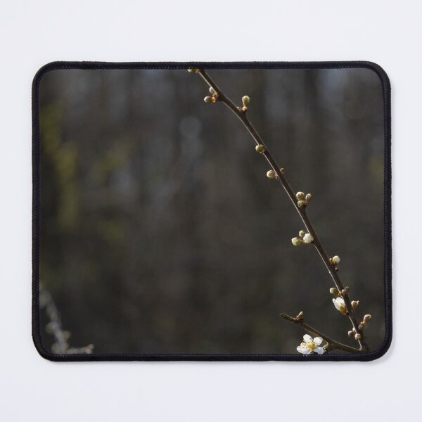 Item preview, Twigs designed and sold by Calidris Fotografie Steffi & Ben Köppler.