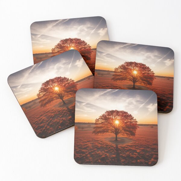 Item preview, Hazy sunset scene with lonely Autumn tree - Landscape photography designed and sold by TheArtistOf2022.