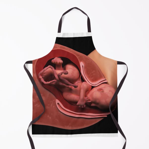 Item preview, STK701560H-Cervical effacement and dilation of the cervix during childbirth. designed and sold by StocktrekImages.