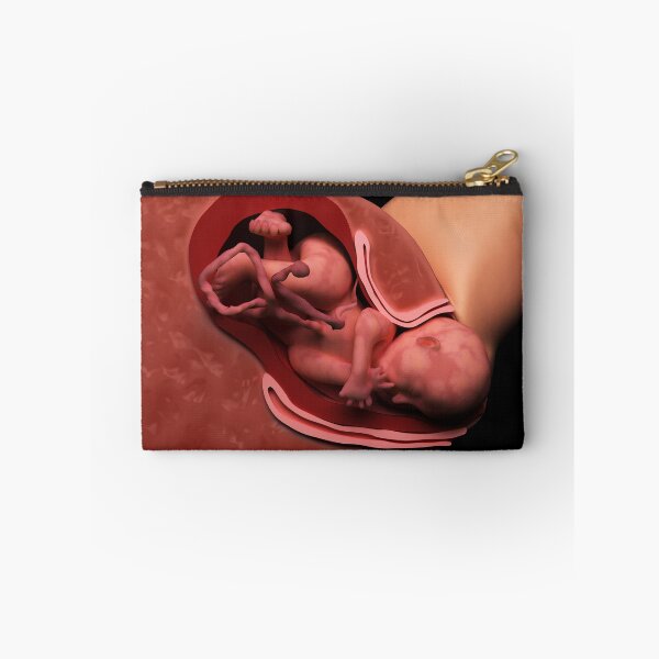 Item preview, STK701560H-Cervical effacement and dilation of the cervix during childbirth. designed and sold by StocktrekImages.