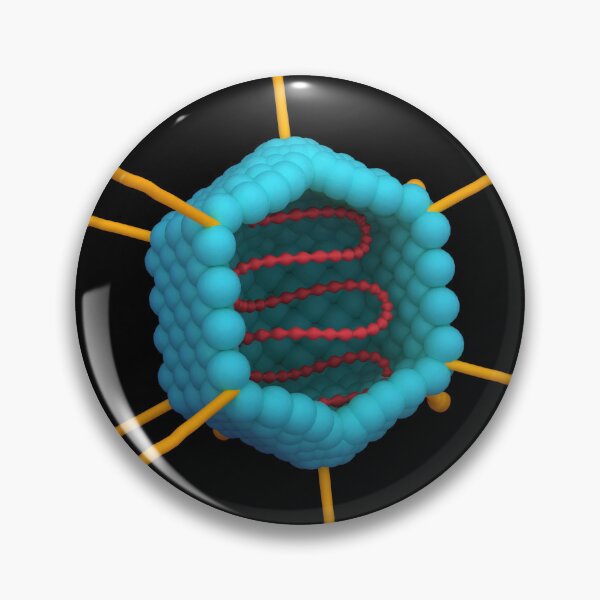 Item preview, STK701562H-Cross section of an adenovirus. designed and sold by StocktrekImages.