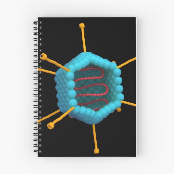 Item preview, STK701562H-Cross section of an adenovirus. designed and sold by StocktrekImages.