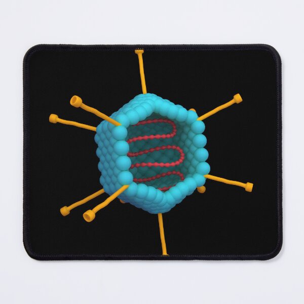 Item preview, STK701562H-Cross section of an adenovirus. designed and sold by StocktrekImages.