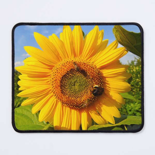 Item preview, Sunflower and Bees designed and sold by Ewa Miller.