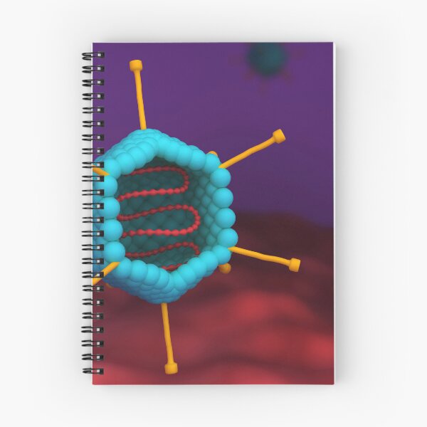 Item preview, STK701563H-Cross section of an adenovirus. designed and sold by StocktrekImages.