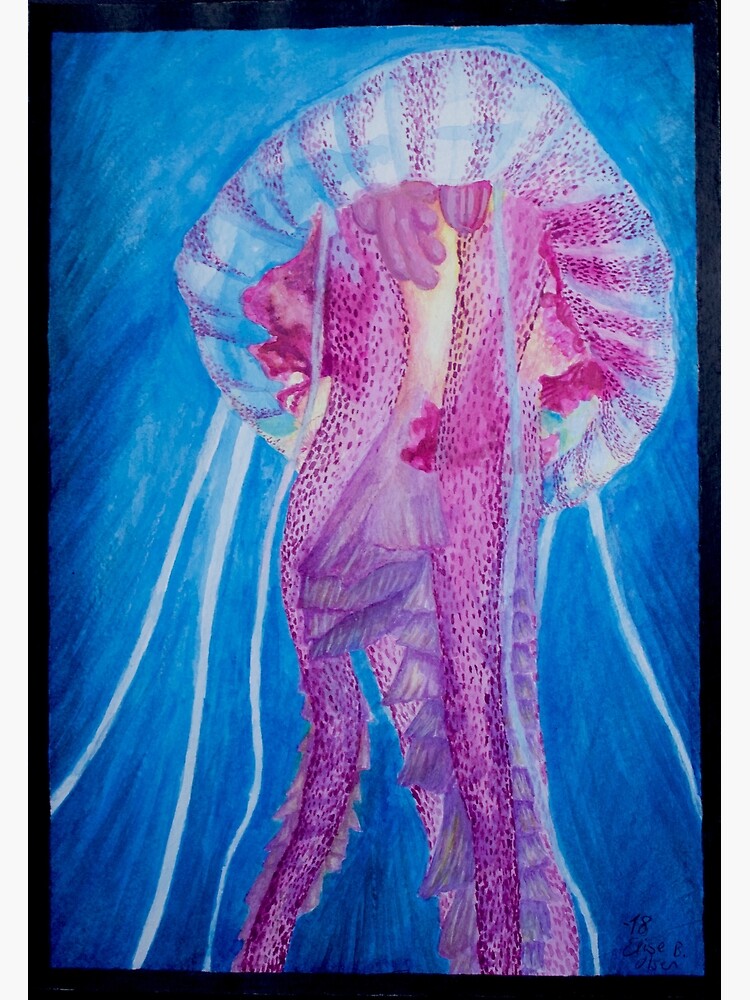 Pelagia jellyfish by ElisesArtShop