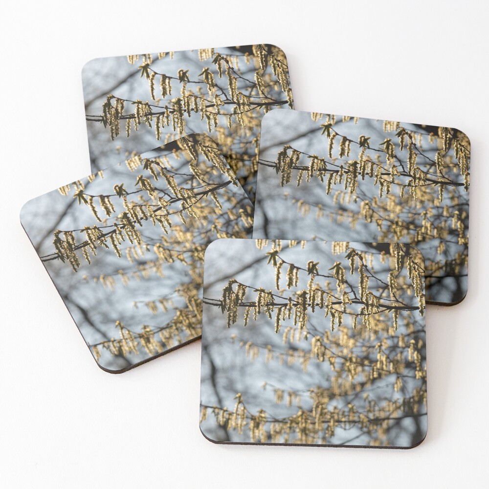 Item preview, Coasters (Set of 4) designed and sold by steffik.