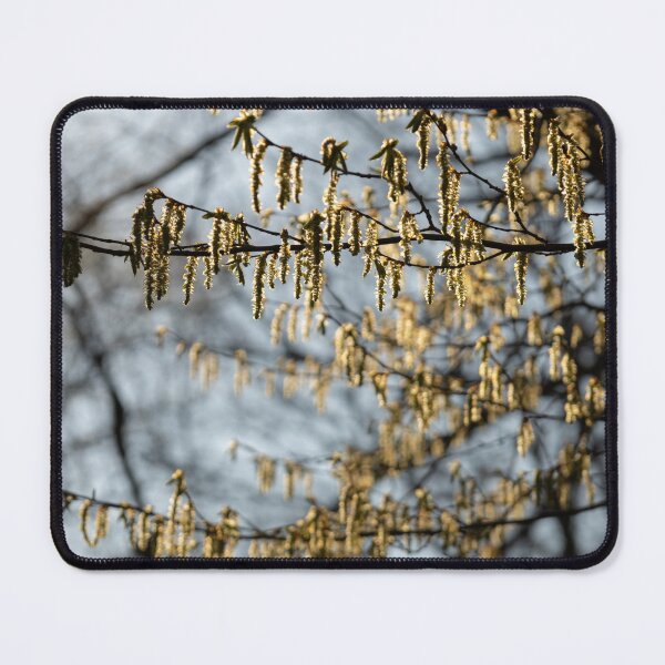 Item preview, Spring designed and sold by Calidris Fotografie Steffi & Ben Köppler.