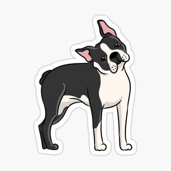 Item preview, Boston Terrier illustration cute  designed and sold by eliasgrafix.