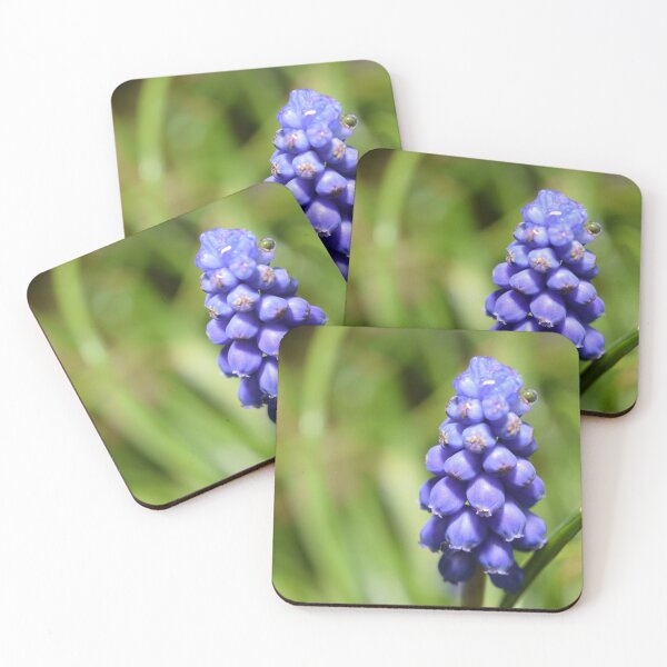 Item preview, Purple blue grape hyacinth with drop flower photography designed and sold by thesuspire.