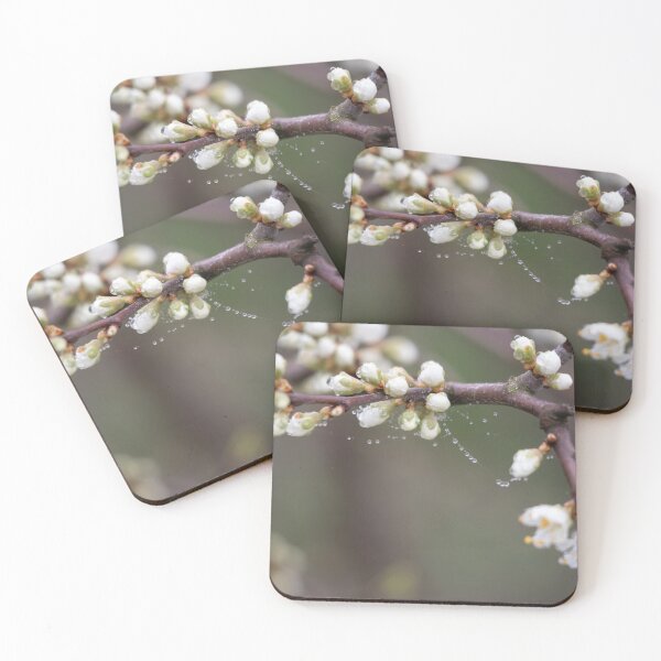 Item preview, Raindrops designed and sold by Calidris Fotografie Steffi & Ben Köppler.