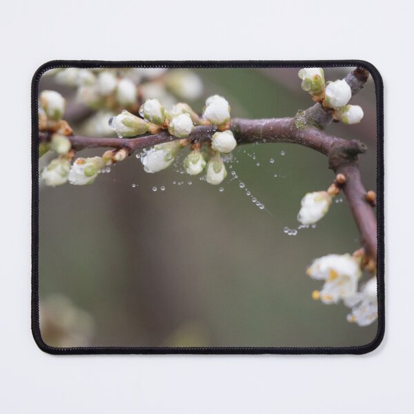 Item preview, Raindrops designed and sold by Calidris Fotografie Steffi & Ben Köppler.