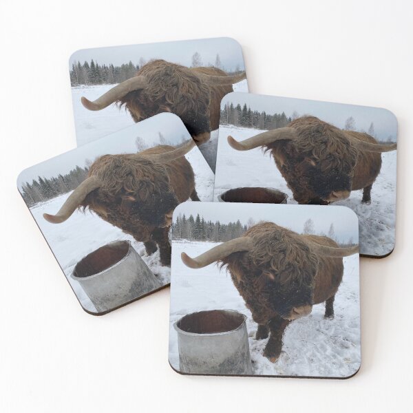 Item preview, Scottish Highland Cattle Bull 4670 designed and sold by SaarelaHighland.
