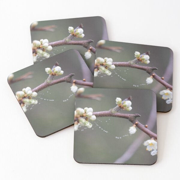 Item preview, Raindrops designed and sold by Calidris Fotografie Steffi & Ben Köppler.
