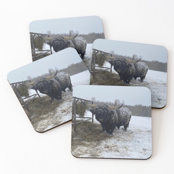 Item preview, Scottish Highland Cattle Bull 4672 designed and sold by SaarelaHighland.