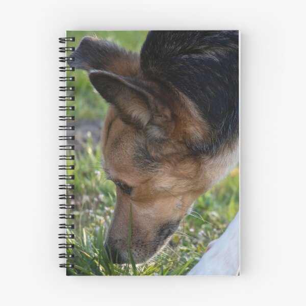 Item preview, Dog sniffing designed and sold by Calidris Fotografie Steffi & Ben Köppler.
