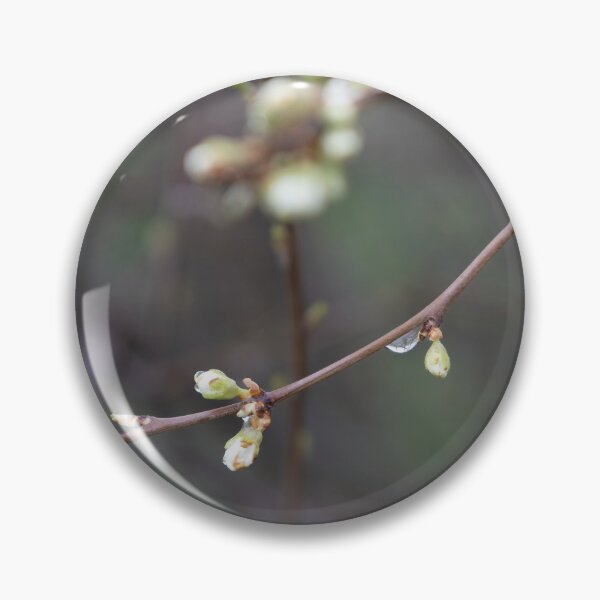 Item preview, Raindrops designed and sold by Calidris Fotografie Steffi & Ben Köppler.