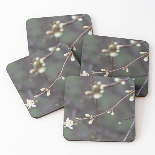 Item preview, Raindrops designed and sold by Calidris Fotografie Steffi & Ben Köppler.