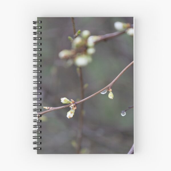Item preview, Raindrops designed and sold by Calidris Fotografie Steffi & Ben Köppler.