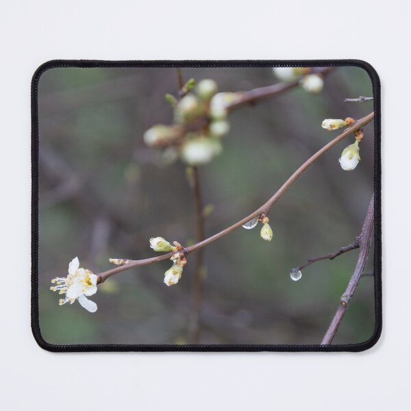 Item preview, Raindrops designed and sold by Calidris Fotografie Steffi & Ben Köppler.