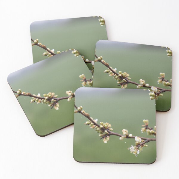 Item preview, Raindrops designed and sold by Calidris Fotografie Steffi & Ben Köppler.