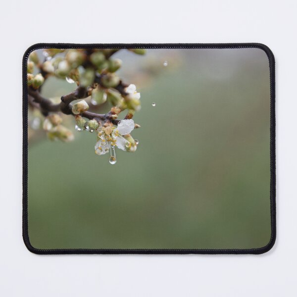 Item preview, Raindrops designed and sold by Calidris Fotografie Steffi & Ben Köppler.