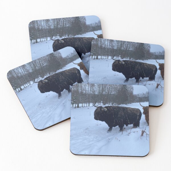 Item preview, Scottish Highland Cattle Bull 4679 designed and sold by SaarelaHighland.