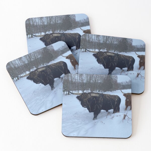 Item preview, Scottish Highland Cattle Bull 4680 designed and sold by SaarelaHighland.
