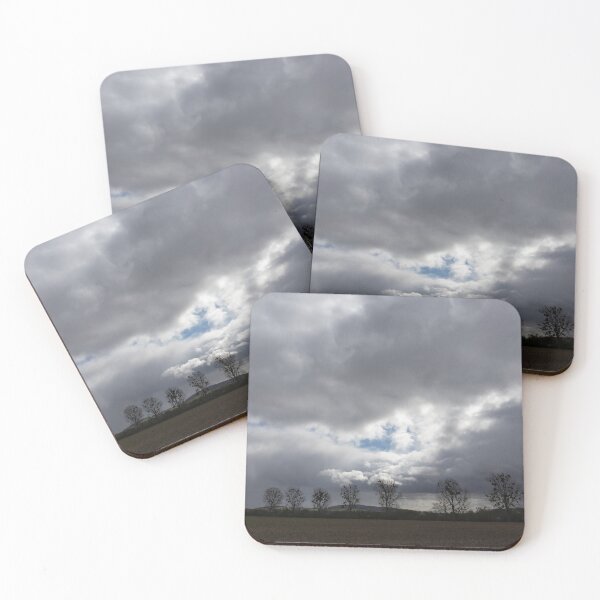 Item preview, Row of Poplars designed and sold by Calidris Fotografie Steffi & Ben Köppler.