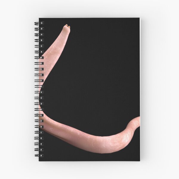 Item preview, STK701571H-Ascaris lumbricoides, a large roundworm. designed and sold by StocktrekImages.